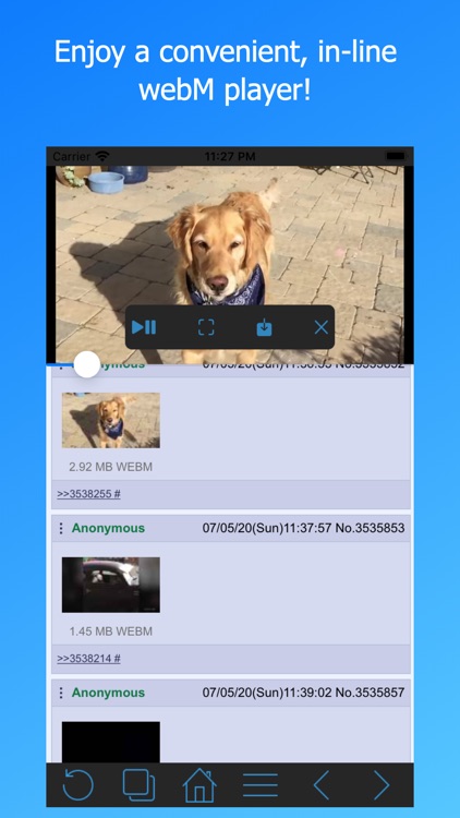Frost WebM Player Browser