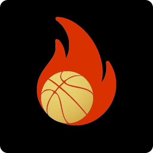 Techniq Basketball