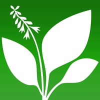Hostas sur PC
