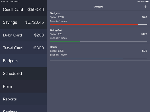 Debit & Credit - náhled
