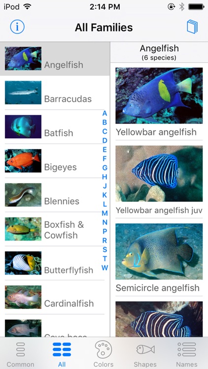Oman Fish ID