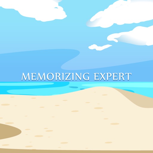 Memorizing Expert