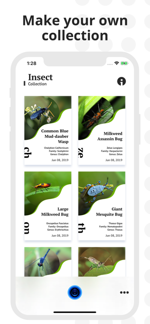 ‎Insect Identification Screenshot