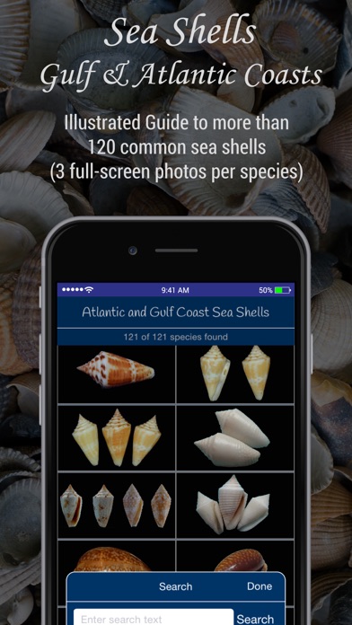 How to cancel & delete Gulf and Atlantic Sea Shells from iphone & ipad 1