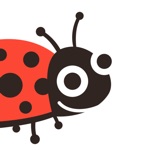 Божья Коровка  Усть-Кут