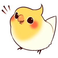 Beautiful Coca Bird