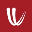 Windy.com icon