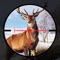 Offline Birds Hunting New Games 2020 - Free Games
