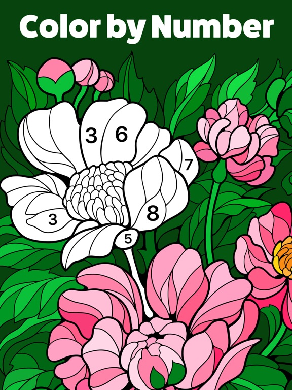 Color By Number Coloring Book App / Magic Color By Number Paint By