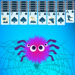 Spider Solitair Card