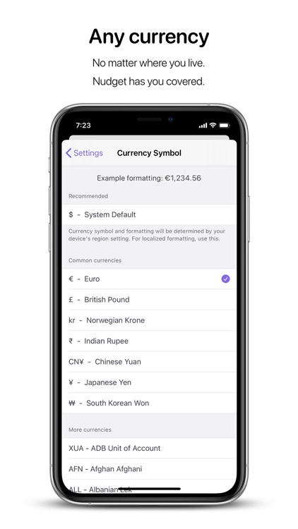 Nudget: Spending Tracker screenshot-6