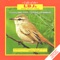 Features 99 bird calls taken from the Len Gillard Collection of Southern African Bird Calls