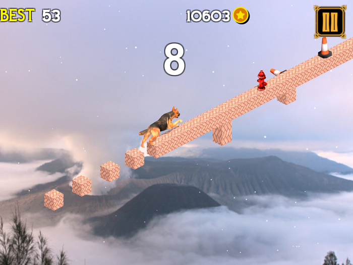 运行和移动您的动物宠物