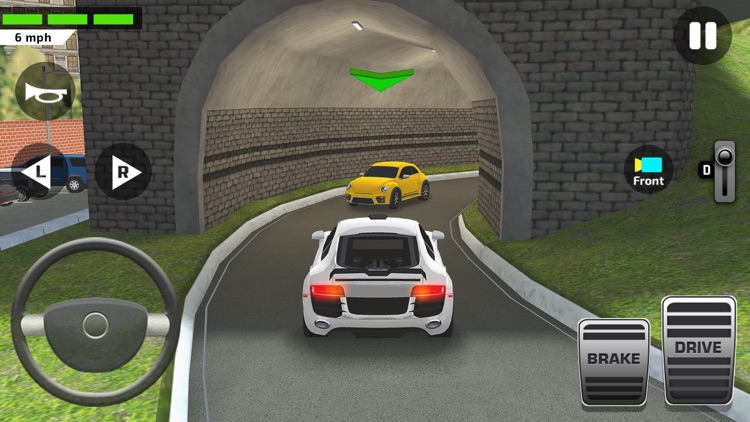 Driving Test Simulator Game screenshot-6