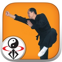 Shaolin Kung Fu Fundamental pour PC