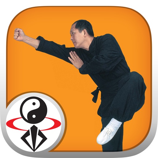 Shaolin Kung Fu Fundamental Icon