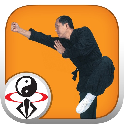 Shaolin Kung Fu Fundamental