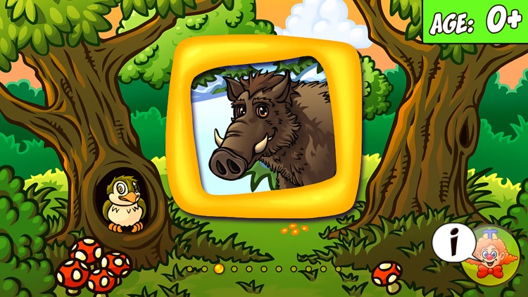 Amazing Forest Animal Puzzle screenshot-4