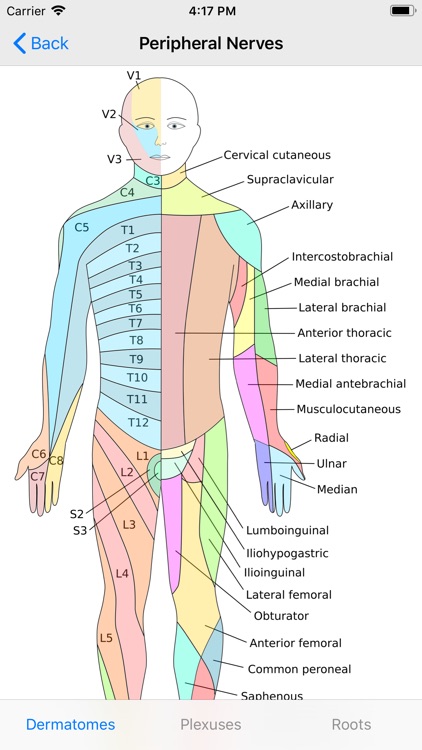 Neuro Assistant