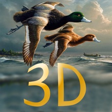 Activities of Duck Hunter Pro 3D