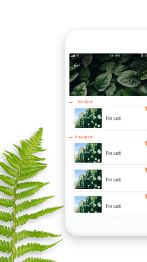 PlantDetect - Plant Identifier(圖2)-速報App