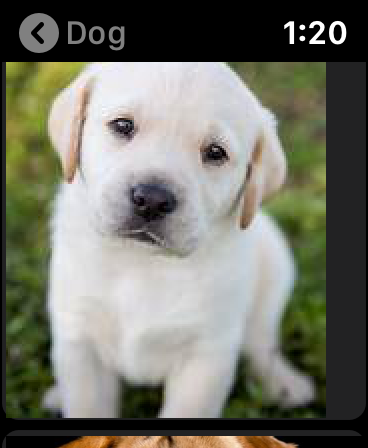 Screenshot #2 for Search Light Web, Image search