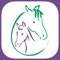 Stretch Your Horse is a video-based mobile app designed to teach riders, veterinarians, farriers, trainers, and horse lovers all over the world how to safely and effectively stretch their horse anytime, anywhere even if there is no cell service or internet connection