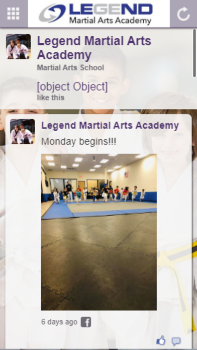 Legend Martial Arts screenshot 2