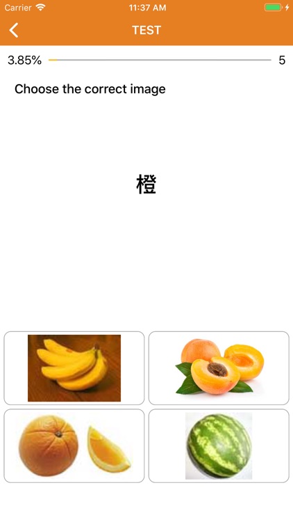 Beginner Chinese: Smart Choice screenshot-5