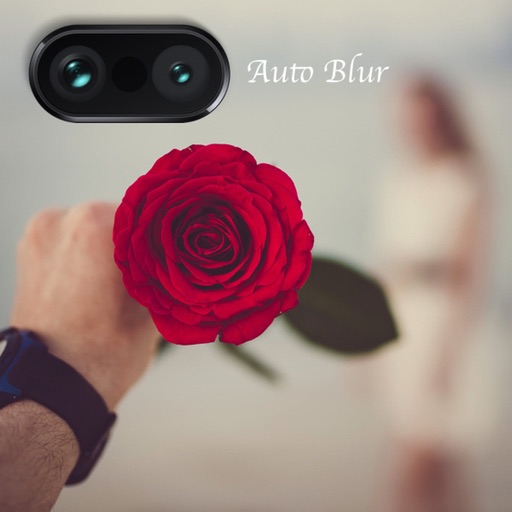 Auto Blur Background Icon