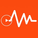 Video Voice ChangerFun Editor