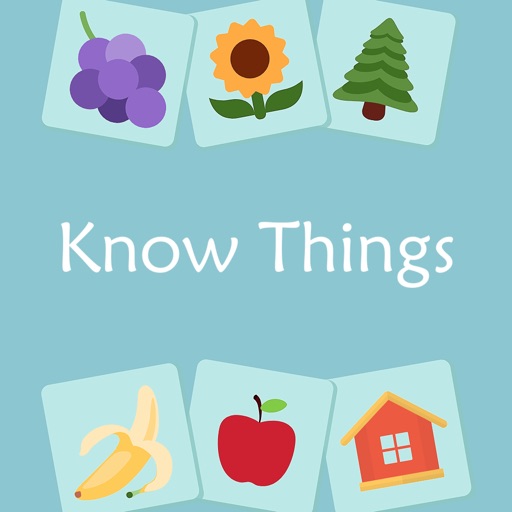 Word Picture-Know Things