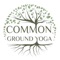 Download the app to view schedules & book sessions at Common Ground Yoga