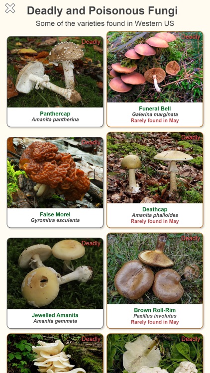 Shroomify - Mushroom ID USA screenshot-5