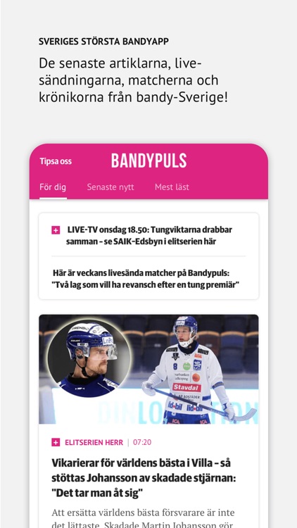 Bandypuls
