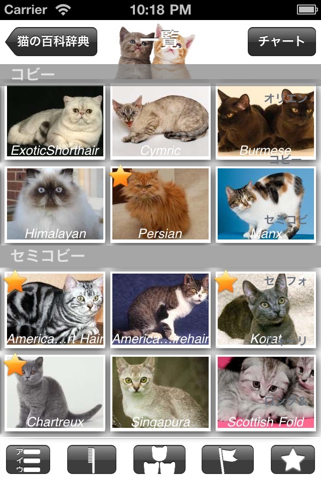 猫の百科辞典 screenshot 2