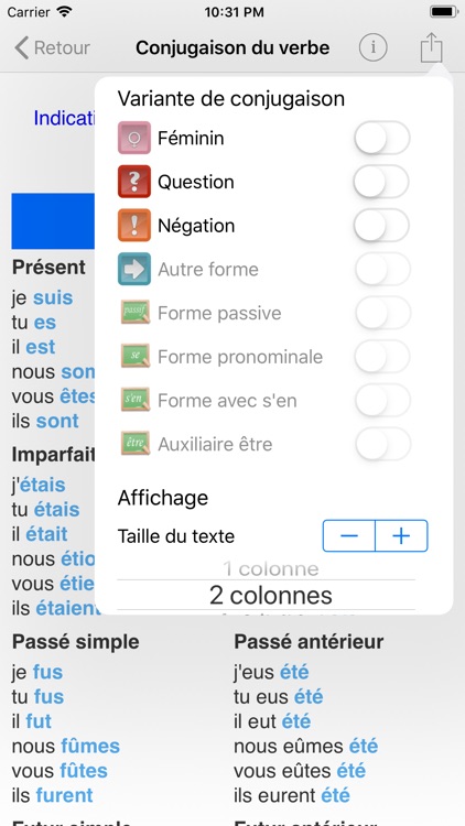 Le Conjugueur screenshot-5
