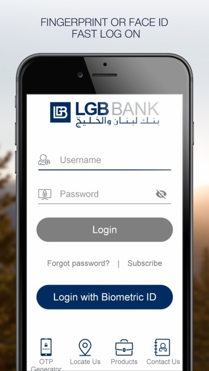 LGB BANK SAL