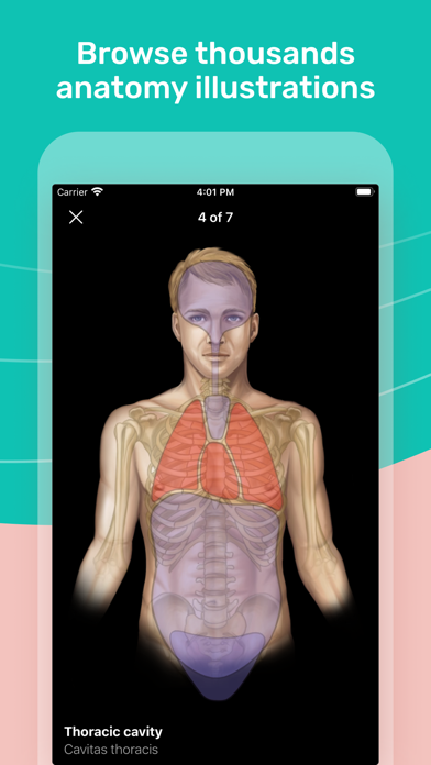 How to cancel & delete Easy Anatomy - Atlas & Quizzes from iphone & ipad 2