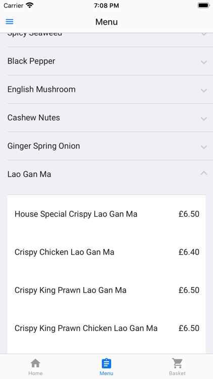 Panda Oriental Bedlington