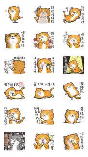 白爛貓 3 - 白爛貓無極限 iphone screenshot 1