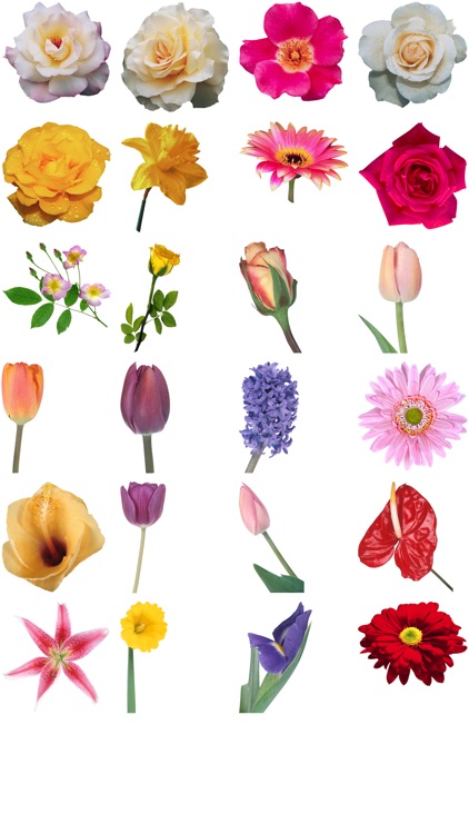 Flower Stickers #2 screenshot-3