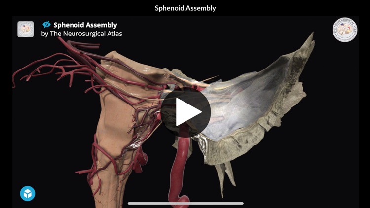 Neurosurgical Atlas screenshot-4