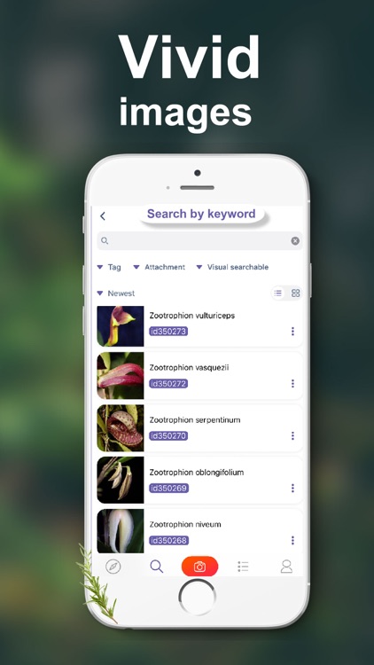 Lookuq Orchid Recognition screenshot-5