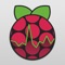 SimplePi is the Swiss army knife utility app for monitoring, controlling, and managing your Raspberry Pi using your iPhone and iPad