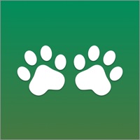 Noms d'Animaux sur PC