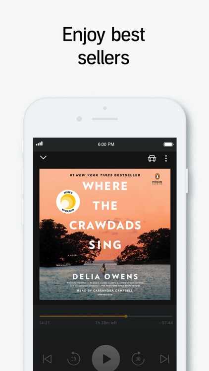 Audible audiobooks & podcasts screenshot-5