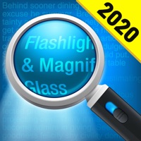 Magnifying Glass + Flashlight apk