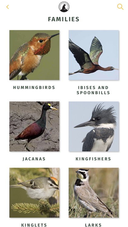 NWF Guide to Birds