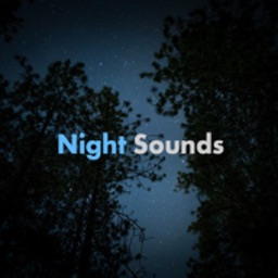 Night Time Sounds